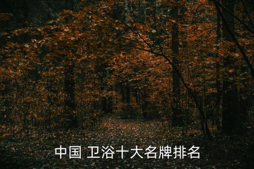 中國 衛(wèi)浴十大名牌排名