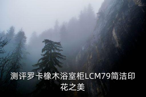 測評羅卡橡木浴室柜LCM79簡潔印花之美