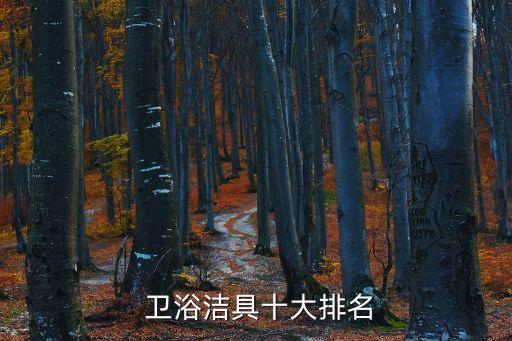  衛(wèi)浴潔具十大排名