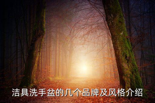 潔具洗手盆的幾個(gè)品牌及風(fēng)格介紹